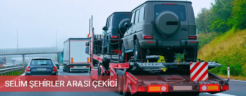 Selim İlçemi Şehirler Arası Çekici